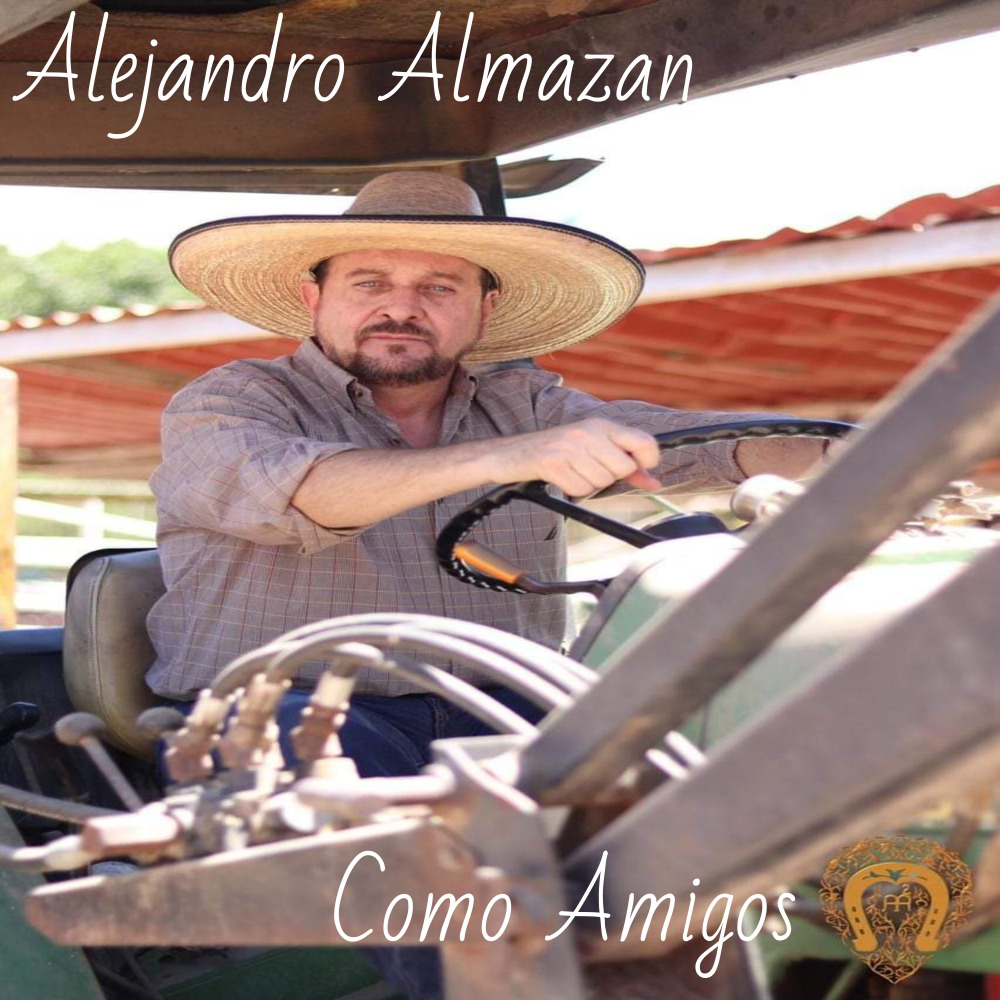 Como Amigos (Cover)