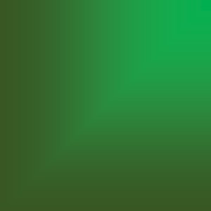 Sofia Alvarez的專輯Fear