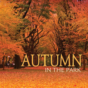 Chopin----[replace by 16381]的專輯Autumn In The Park