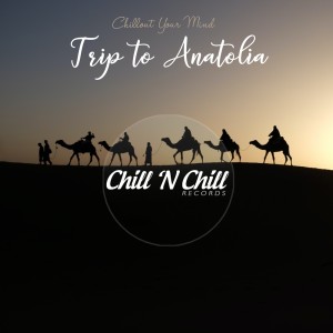 Album Trip to Anatolia: Chillout Your Mind oleh Various Artists
