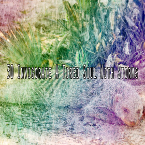 收聽Rain for Deep Sleep的Muffled by Storm歌詞歌曲