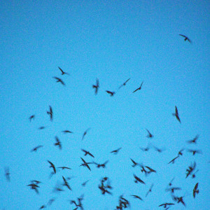 ดาวน์โหลดและฟังเพลง Comes & Goes พร้อมเนื้อเพลงจาก Les Gold