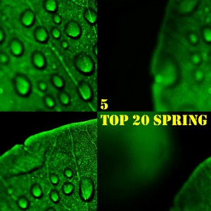 Various Artists的專輯Top 20 Spring, Vol. 5