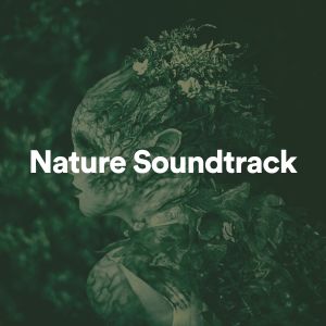 Nature Soundtrack dari Nature Sound Collection