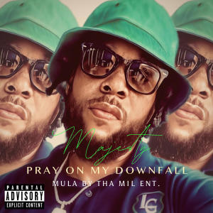 Pray On My Downfall (Explicit)