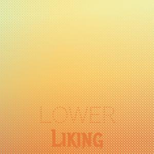 Listen to Pow Turnip song with lyrics from Landine Choki
