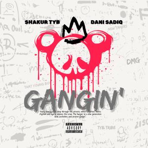 收聽ShakurTYB的Gangin (feat. Danisadiq) (Explicit)歌詞歌曲