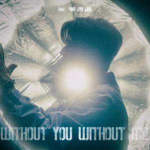 Album Without You Without Me oleh Bii