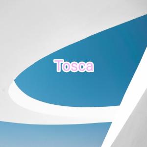 Album Cerita Cinta oleh Tosca