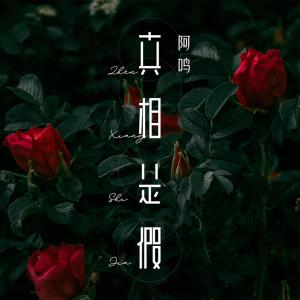 收听阿呜的真相是假歌词歌曲
