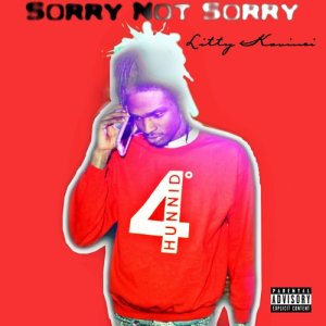 ดาวน์โหลดและฟังเพลง I'm Sorry Not Sorry (Explicit) พร้อมเนื้อเพลงจาก Litty Kavinci
