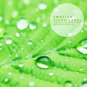 Album New Age piano with fresh sensation listening to rainy day oleh Various Artists