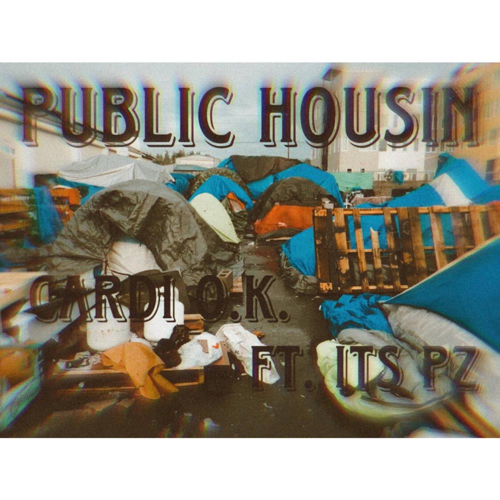 PUBLIC HOUSIN (feat. ITS PZ) (Explicit)