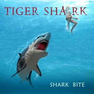 收聽TIGER SHARK的Love at the First Sight歌詞歌曲