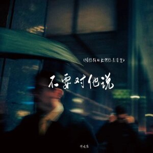 Album 不要对他说(陪你到日出把你看清楚) from 何欢浪