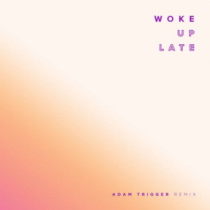 ดาวน์โหลดและฟังเพลง Woke Up Late (Adam Trigger Remix) พร้อมเนื้อเพลงจาก Drax Project