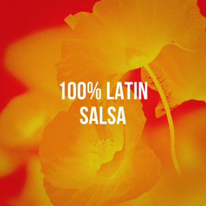 Album 100% Latin Salsa oleh Various