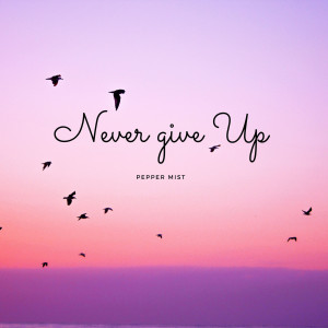 Dengarkan Never Give Up lagu dari PEPPER MIST dengan lirik