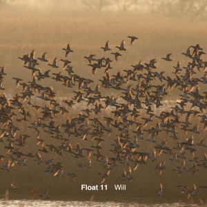 ดาวน์โหลดและฟังเพลง sorrow พร้อมเนื้อเพลงจาก Float 11
