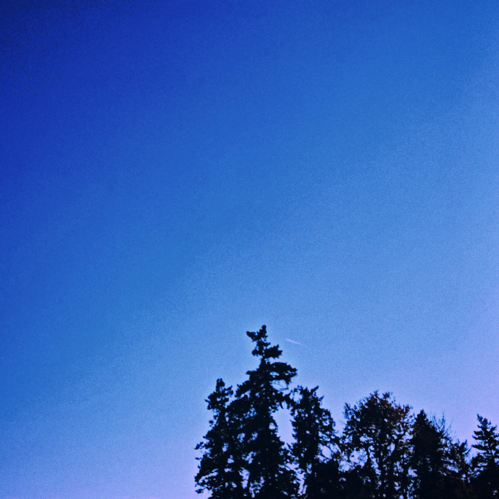 stay a while