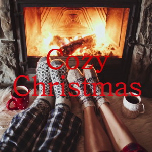 ดาวน์โหลดและฟังเพลง Last Christmas พร้อมเนื้อเพลงจาก Wildlife