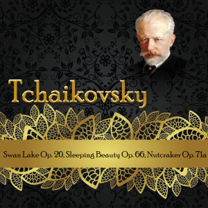 Album Tchaikovsky, Swan Lake Op. 20, Sleeping Beauty Op. 66, Nutcraker Op. 71a from 