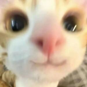 李哈哈的专辑给老婆的保证书（卡点版）