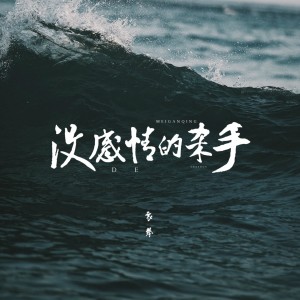 收聽袁攀的沒感情的殺手 (伴奏)歌詞歌曲