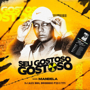 Album Seu Gostoso, Gostoso (Explicit) from Dj Alex BNH