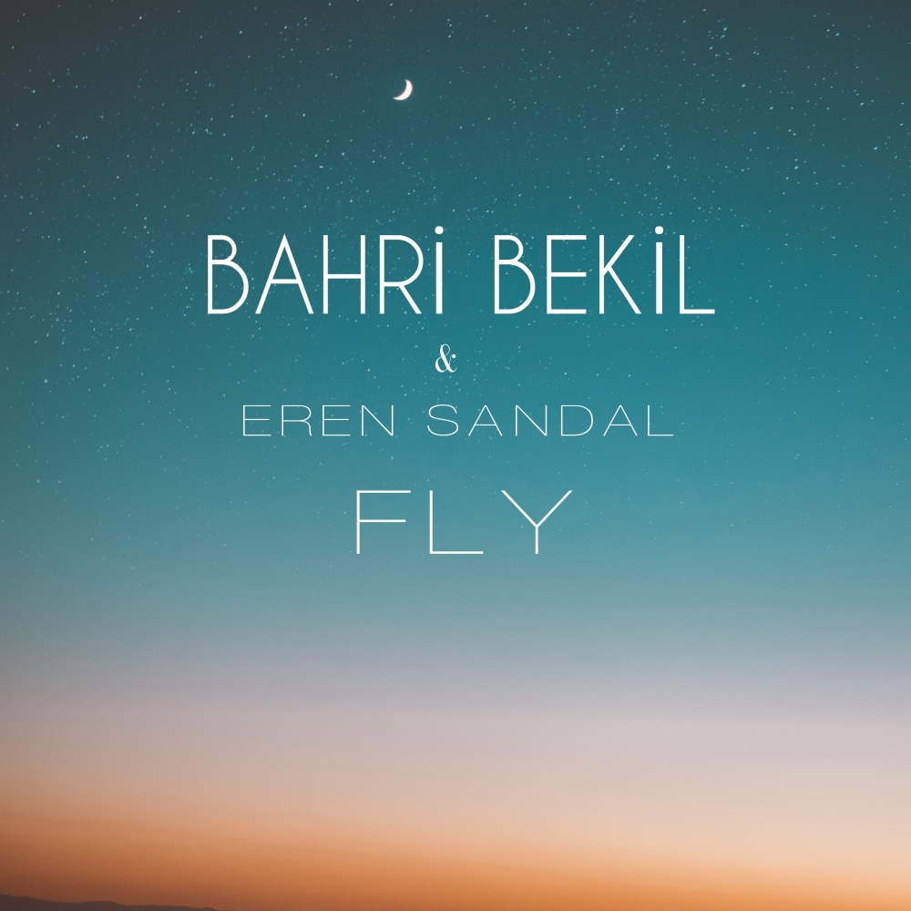 Fly