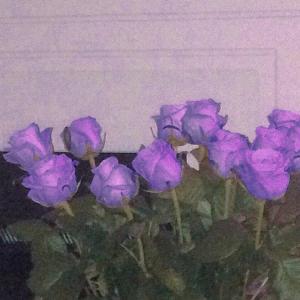 Listen to антидепресант (feat. нестор) [bankihoi Remix] (bankihoi Remix) song with lyrics from Hate Optimists