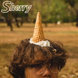 Listen to ยอมแล้ว song with lyrics from Sherry