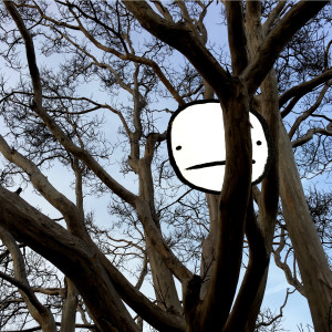 收聽Fein的Fear歌詞歌曲