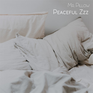 Album Peaceful Zzz from Mr. Pillow