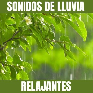 收听lluvia的Pensamientos Positivos歌词歌曲