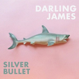 Listen to Silver Bullet song with lyrics from Darling James
