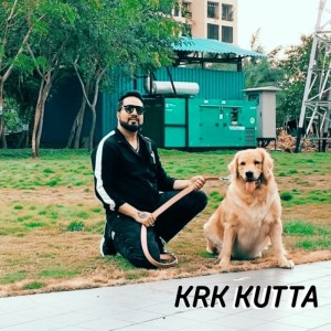 收聽Mika Singh的Krk Kutta歌詞歌曲