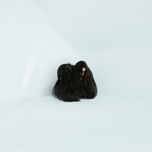 ดาวน์โหลดและฟังเพลง The Culling พร้อมเนื้อเพลงจาก Chelsea Wolfe