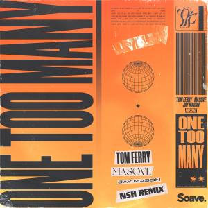 Album One Too Many (feat. Jay Mason) [NSH Remix] from Jay Mason