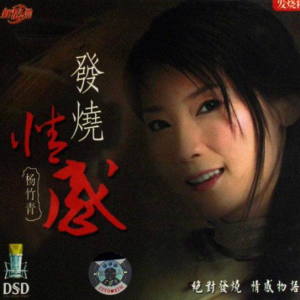Album 发烧情感-翻唱 from 杨竹青