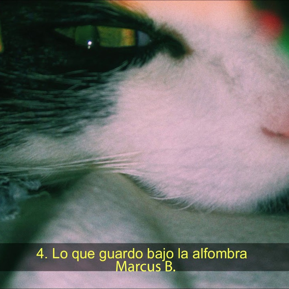 4. Lo Que Guardo Bajo La Alfombra.
