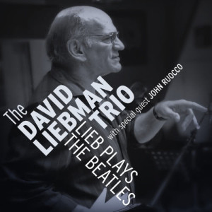 ดาวน์โหลดและฟังเพลง Within You Without You พร้อมเนื้อเพลงจาก The David Liebman Trio