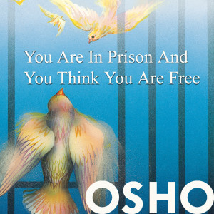 You Are in Prison & You Think You Are Free