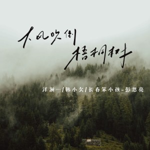 Listen to 大风吹倒梧桐树 song with lyrics from 洋澜一