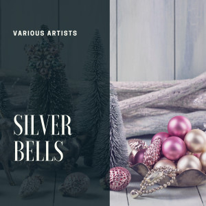 Listen to Silent Night song with lyrics from Pat Boone