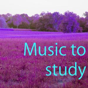 Album Music to Study Vol. 4 from Pupil