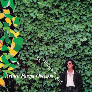 ดาวน์โหลดและฟังเพลง Viejo Piano (Remasterizado) พร้อมเนื้อเพลงจาก Arturo Pareja Obregón