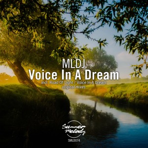 MLDJ的专辑Voice in a Dream