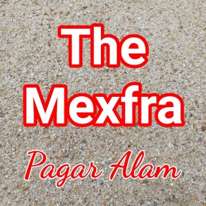 Listen to Jangan Tinggalkan Aku song with lyrics from The Mexfra