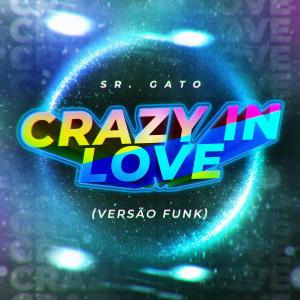 ดาวน์โหลดและฟังเพลง Crazy In Love (Versão Funk) พร้อมเนื้อเพลงจาก Sr. Gato